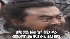 水浒传表情包动图