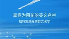 名字带菊字怎么介绍