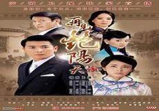 免费看再见艳阳天电视剧
